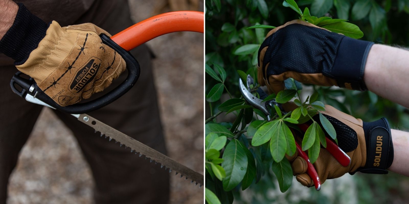EPI nécessaires taille douce
